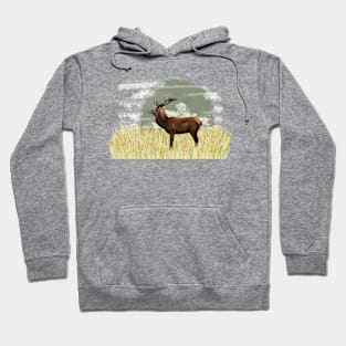 Deer in grassland Hoodie